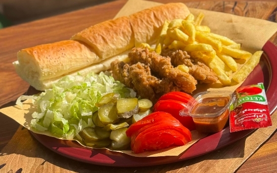 فیله مرغ سوخاری